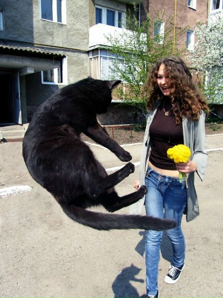 №96, Оля Ващишак, 30 лет, Ивано-Франковск №96, Оля Ващишак, 30 лет, Ивано-Франковск