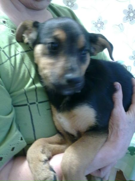 №64, Olya Barker, Харьков №64, Olya Barker, Харьков