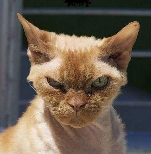 Олександр Маренич | Днепр (Днепропетровск)