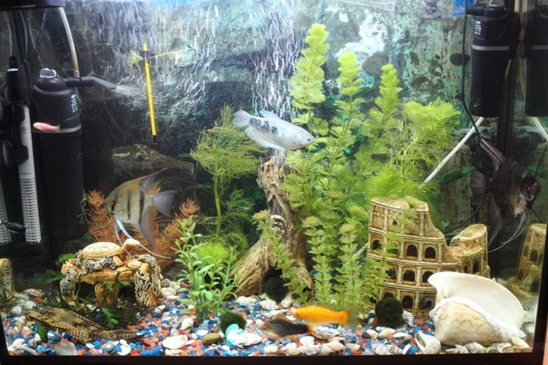 №95, Лариса Федорова, 22.11 №95, Лариса Федорова, 22.11