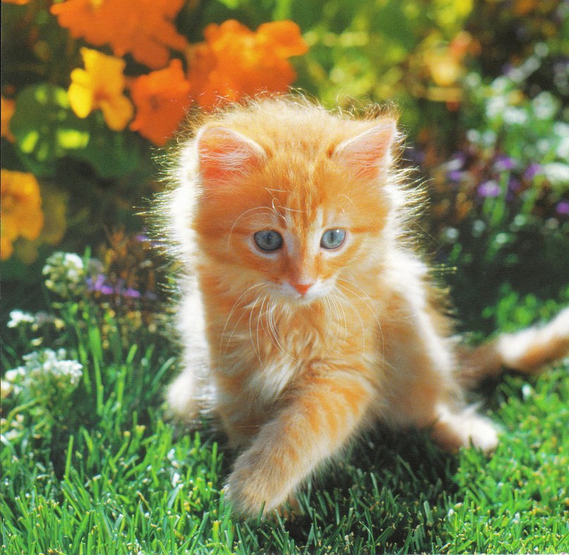 Ульяна Моисеева | Санкт-Петербург