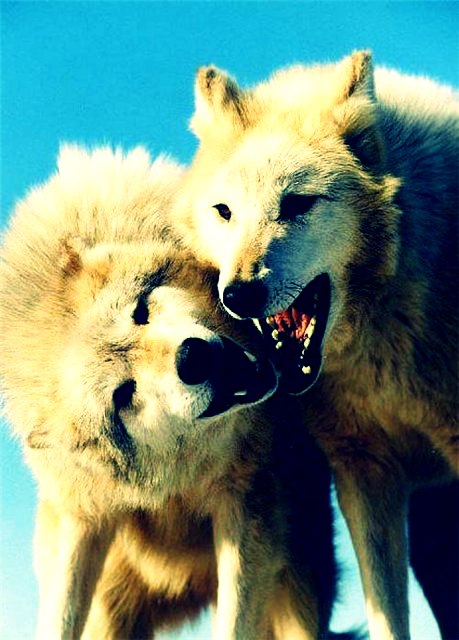 Марина Кудрявцева | Санкт-Петербург