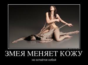 Александр Мамаев | 