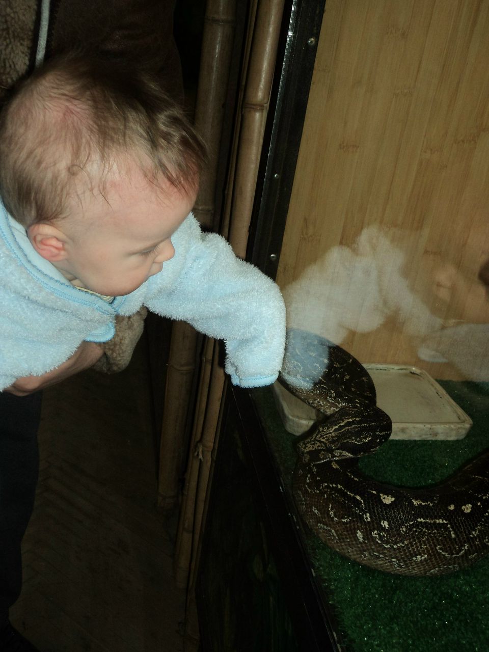 Вячеслав Трофимовский | Санкт-Петербург