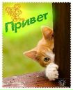 №39 Ирина Вайсеро 23.11: профиль, фото, статус - ВКонтакте №39 Ирина Вайсеро 23.11: профиль, фото, статус - ВКонтакте