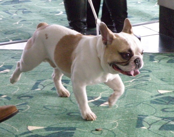 Алла Жукова | Рыбинск