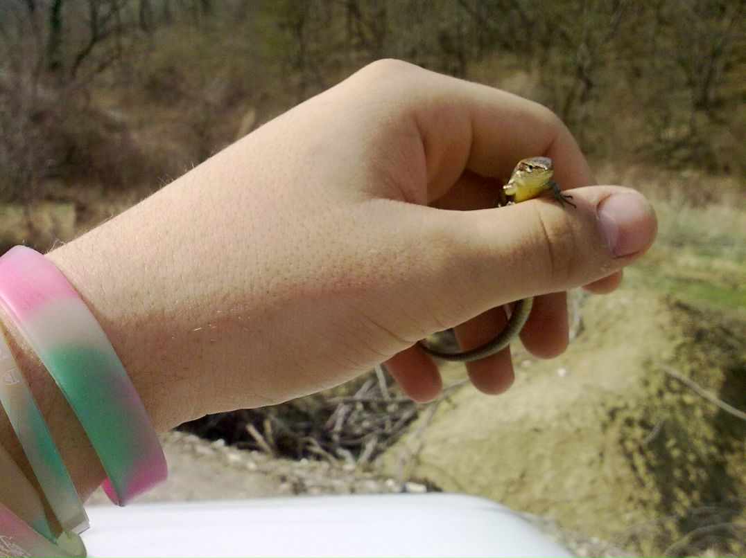 Даниил Прозоров | Новороссийск