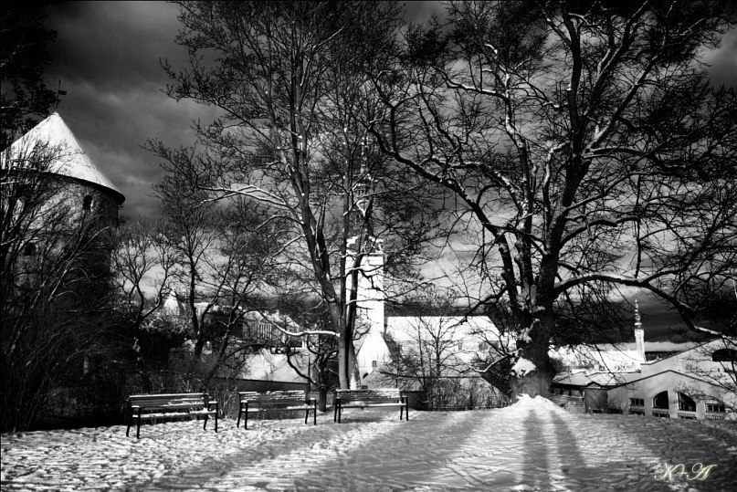 Константин Махов | Елабуга