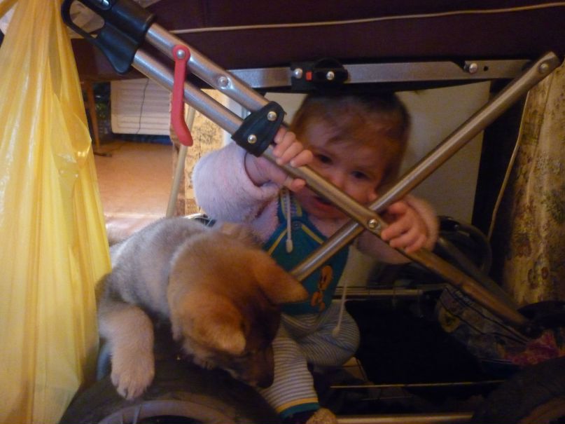 Ольга Кабаль | Вознесенье