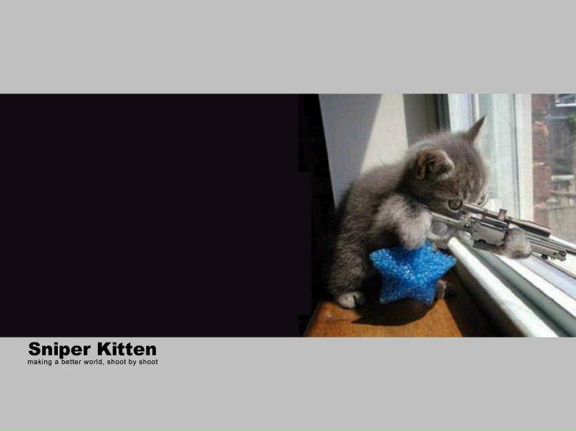 Матвей Богданович | Hell Gate