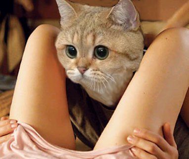 Алегсей Зовуд кагбэ | Екатеринбург