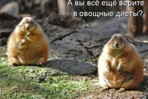 №146, Саша Зыков, 29 лет №146, Саша Зыков, 29 лет