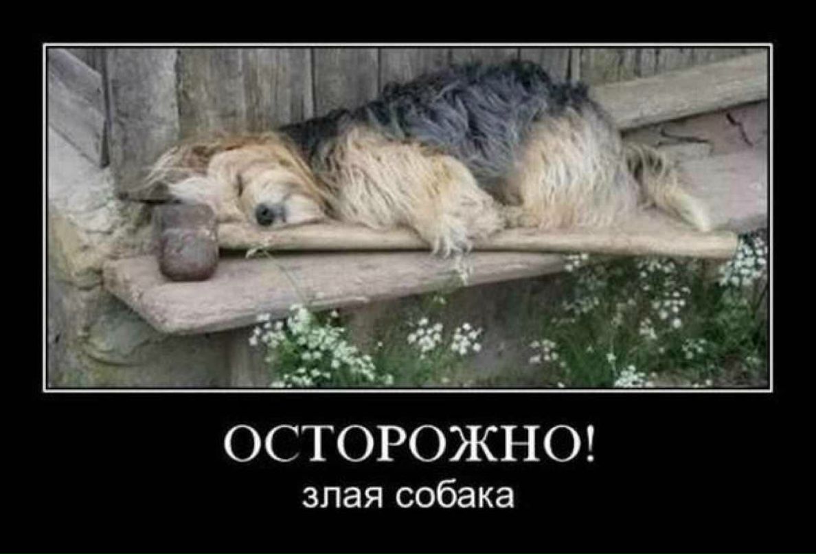 Арсений Бартенев | Москва