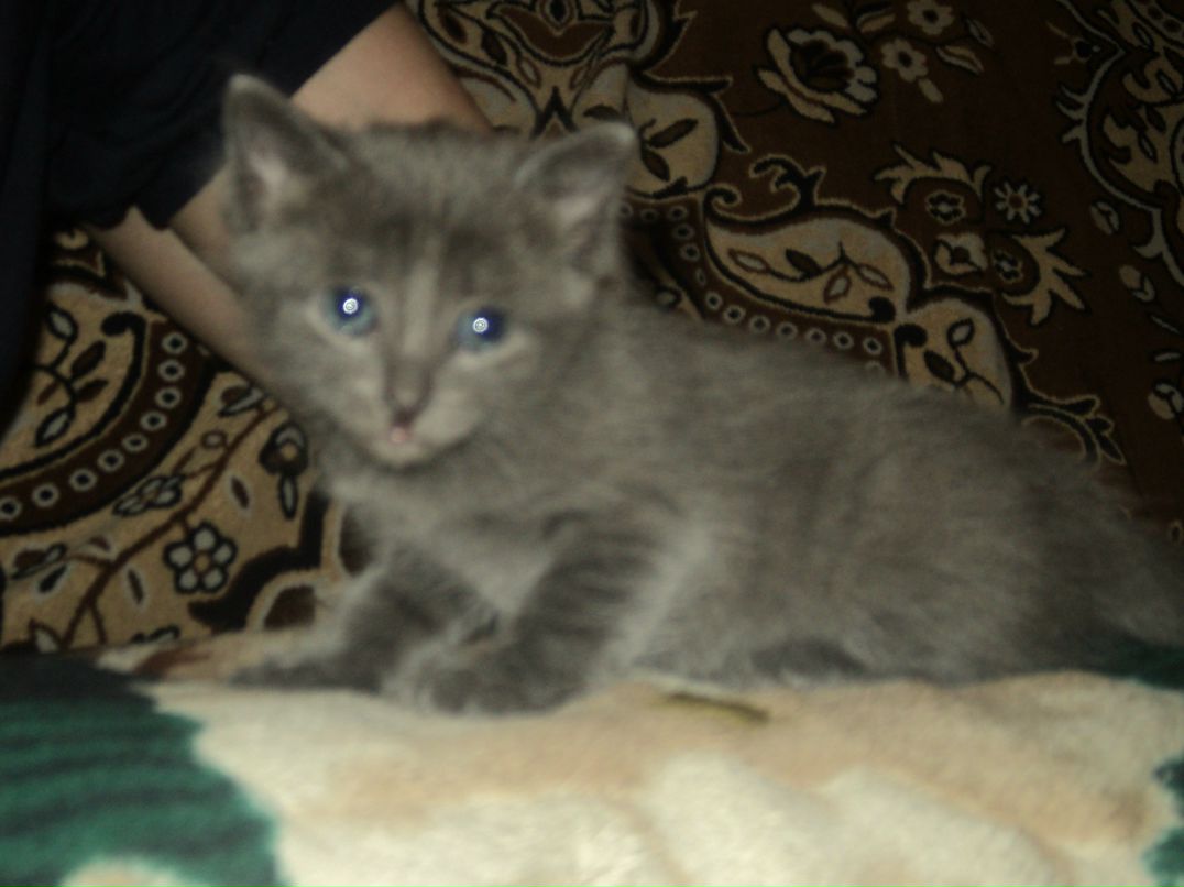 Валерия Розвезева | Красноярск