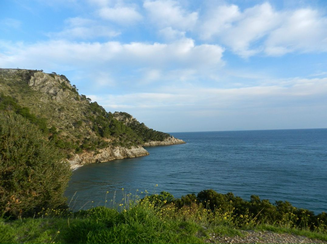 Мария Лимбах | Санкт-Петербург