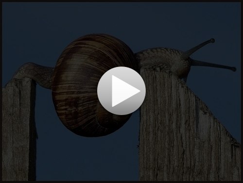 Настя Ковешникова | Углич