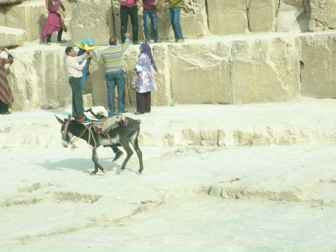 Наталья Комалова | Южно-Сахалинск