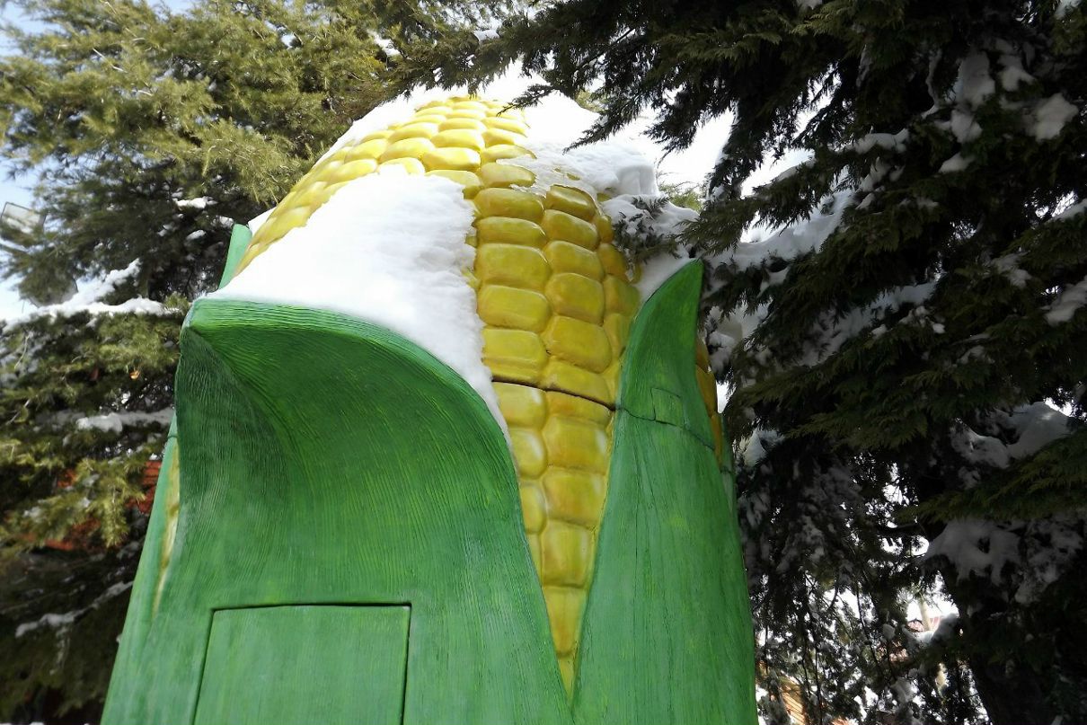 Элина Носовицкая | 