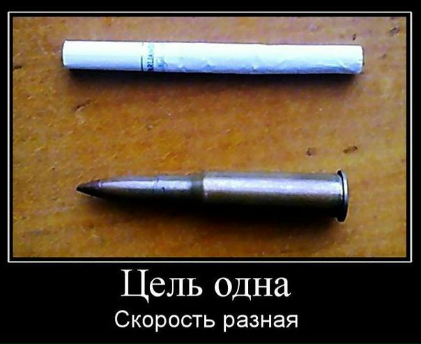 №23, Каринка Кари, Севастополь №23, Каринка Кари, Севастополь