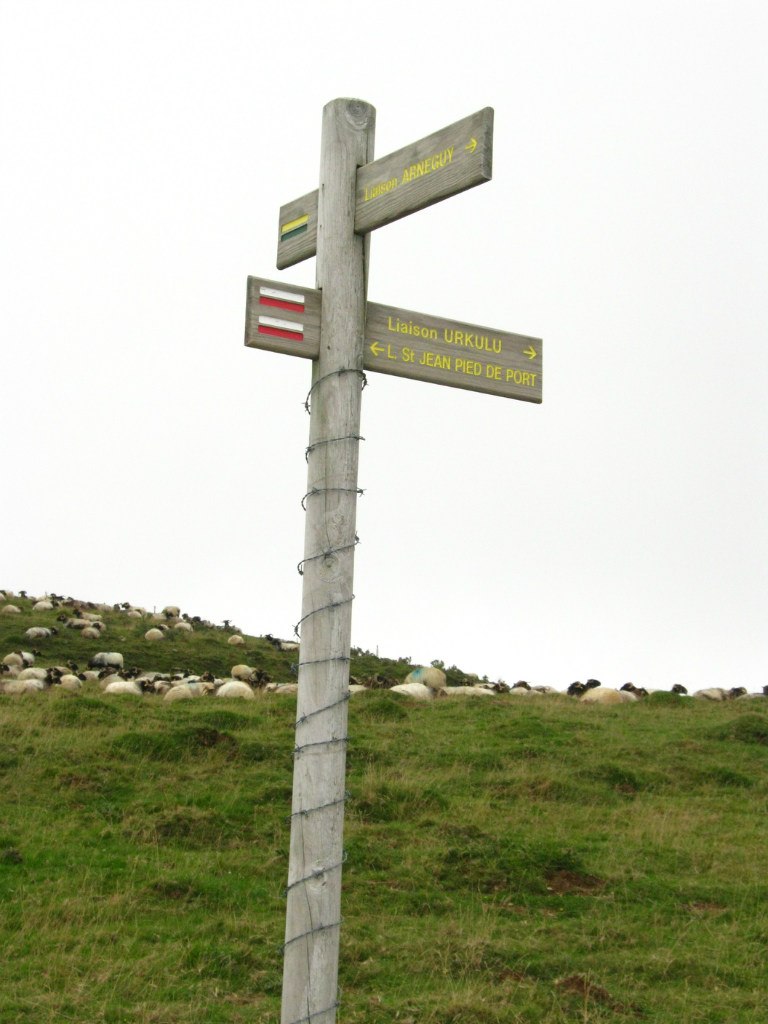 Светлана Иванова | Санкт-Петербург