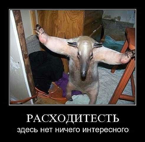 Олег Близнюк | Марс