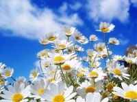 Зина Яриева фото профиля #1