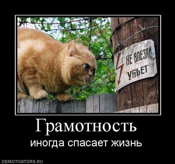 Ангелина Чернова | Санкт-Петербург