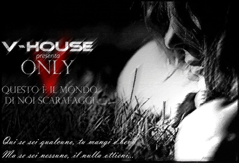 Vladimir Ferrucci 猫 | San Paolo di Civitate