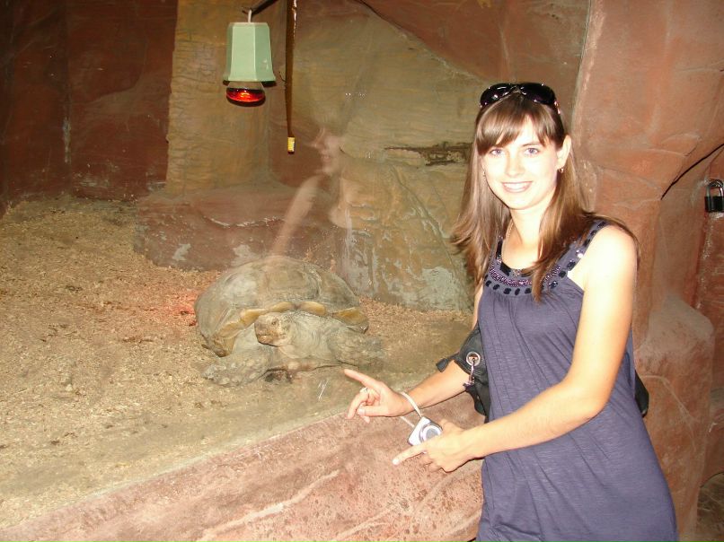 Андрей Цыбулько | Киев