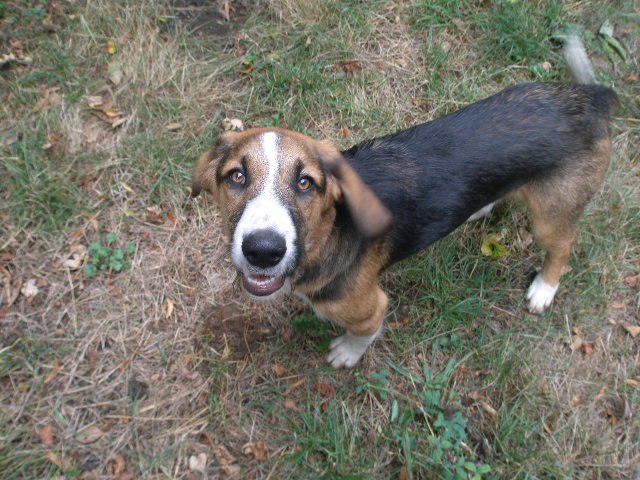 Svetlana Kopyova | León