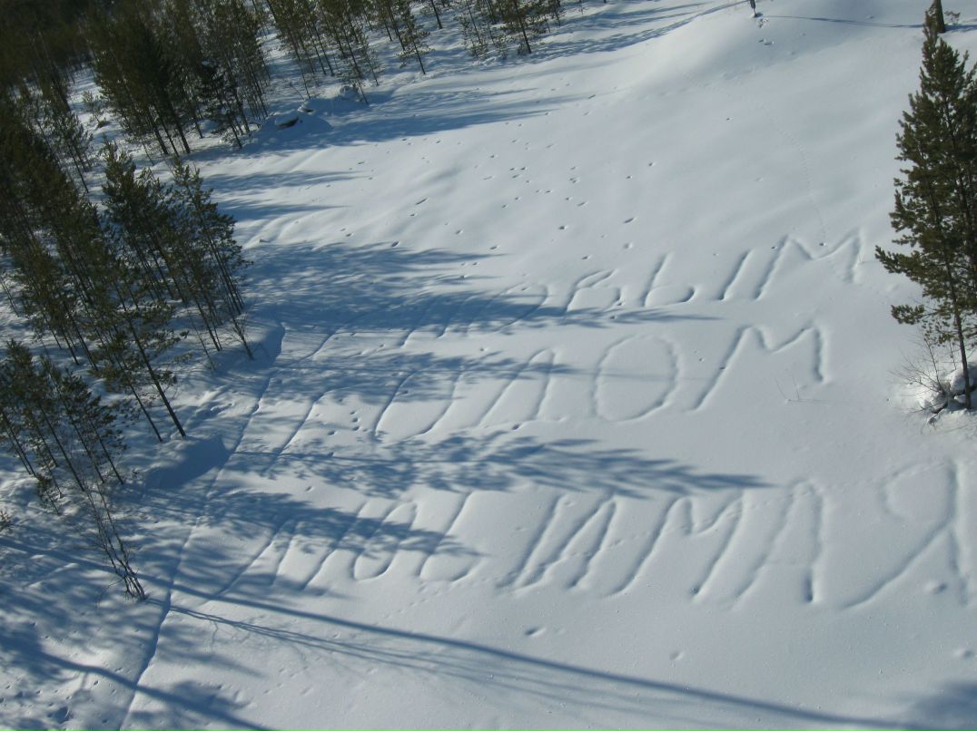 Никита Сиденко | 