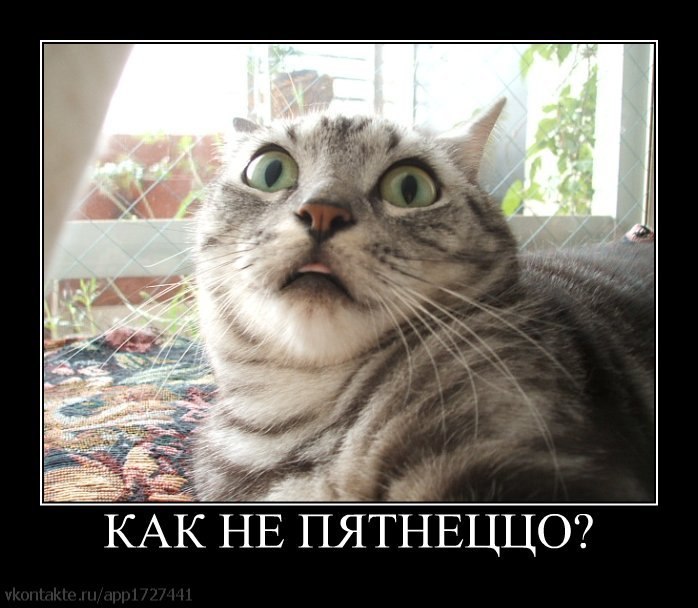 Надежда Медведева | Екатеринбург