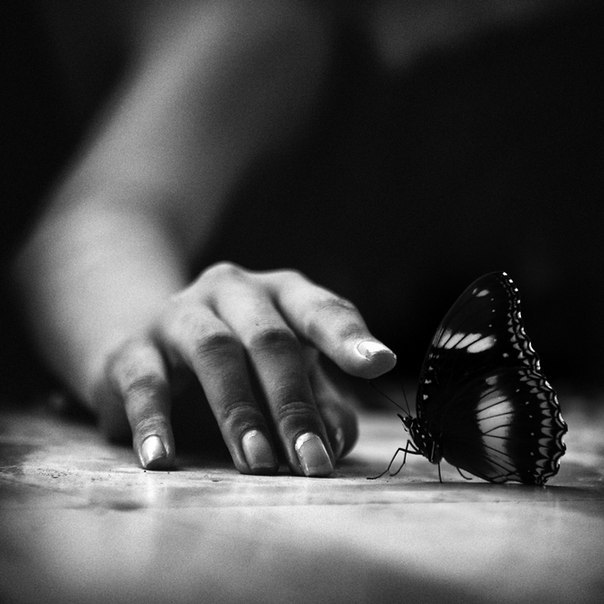 Татьяна Арбузова | Москва