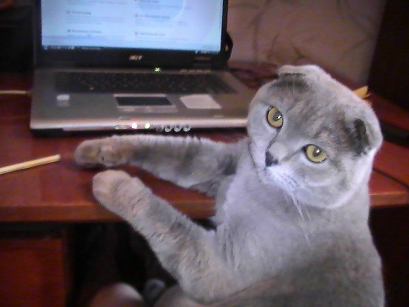 Марина Дешко Владимировна | Полтава