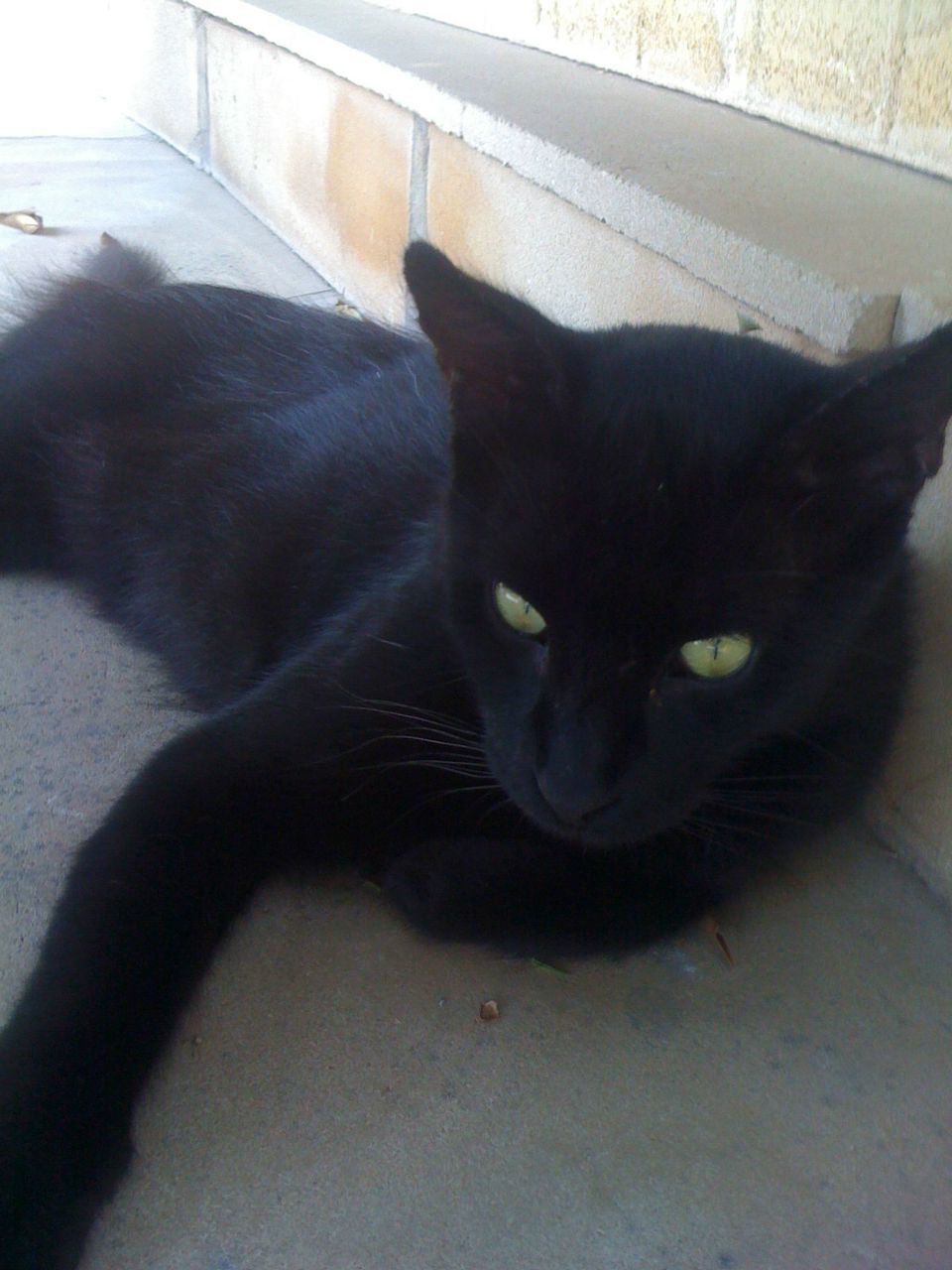 Семен Переделкин | Санкт-Петербург