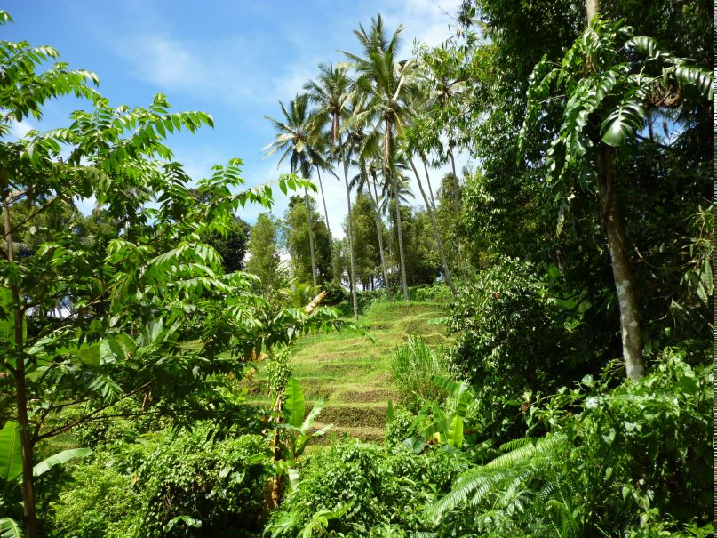 Евгений Гололобов | Люберцы