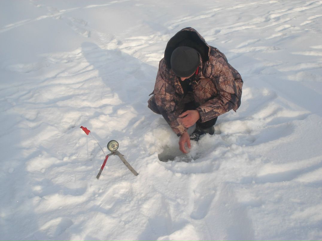 Дмитрий Ганнин | Сумы