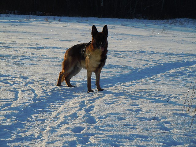 Ольга Ляшко | Санкт-Петербург