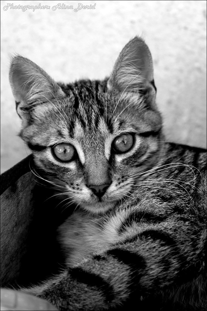 Юлия Говоруха | Киев