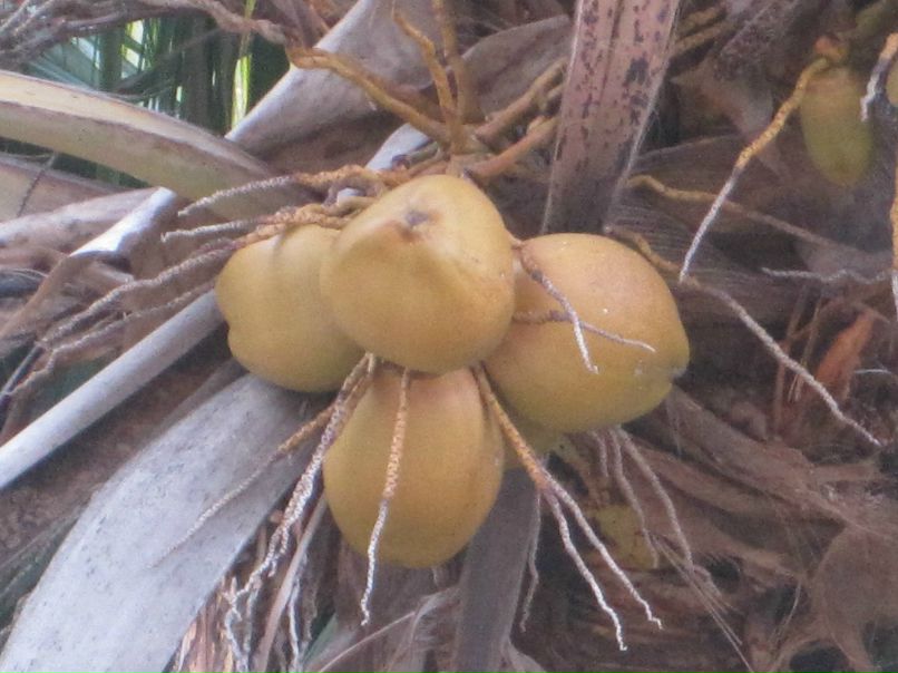 Наталия Михайлова Николаевна | Москва