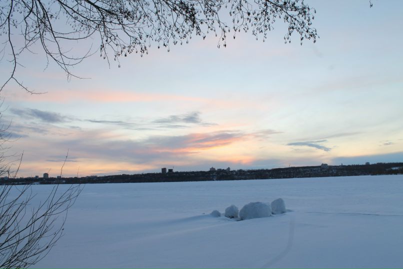 Дмитрий Малый | Воронеж