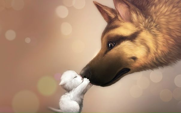 №16, Виктория Мирошникова, 38 лет, Днепр (Днепропетровск) №16, Виктория Мирошникова, 38 лет, Днепр (Днепропетровск)