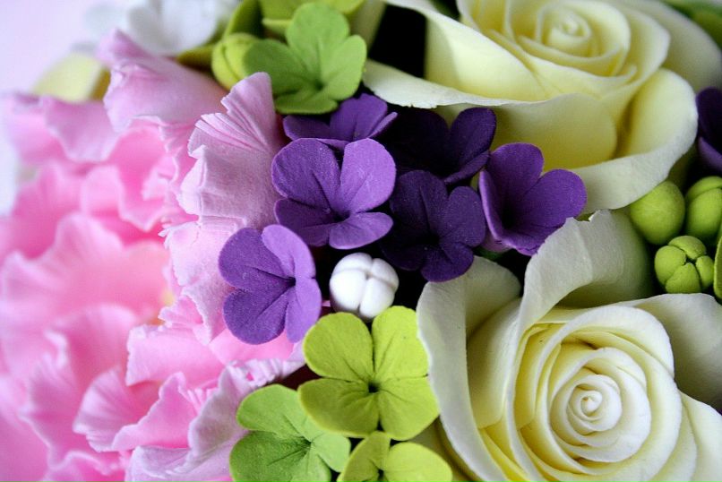 Анастасия Яценко | 