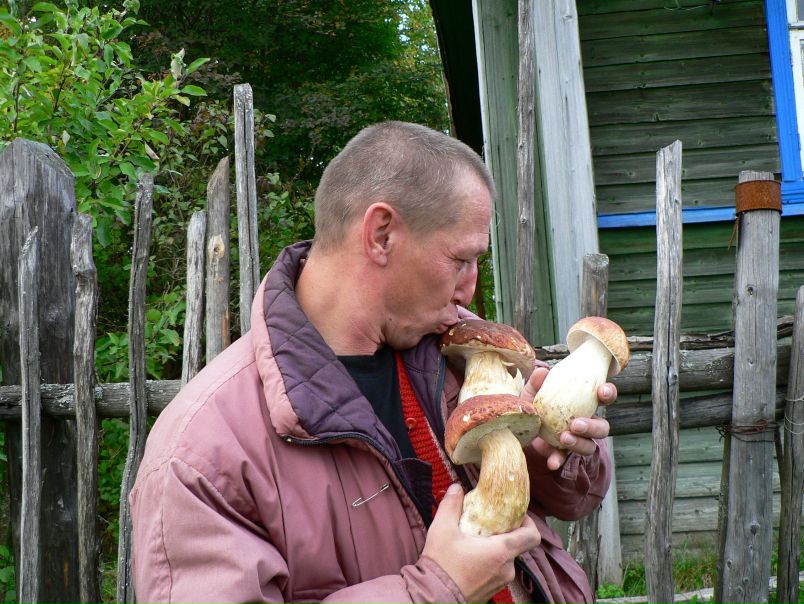 №2, Алексей Сафонов-Грибник, Санкт-Петербург №2, Алексей Сафонов-Грибник, Санкт-Петербург