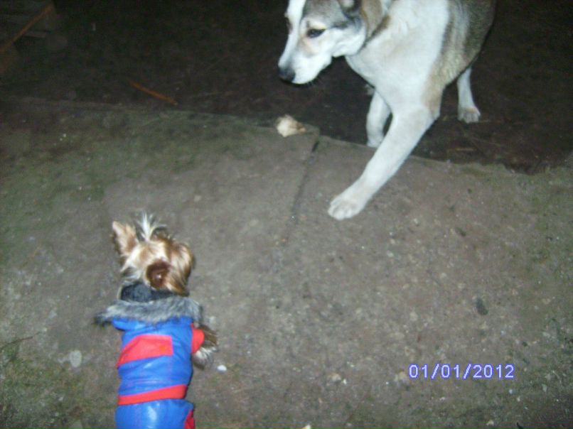 Владимир Андрюшихин | Кировск