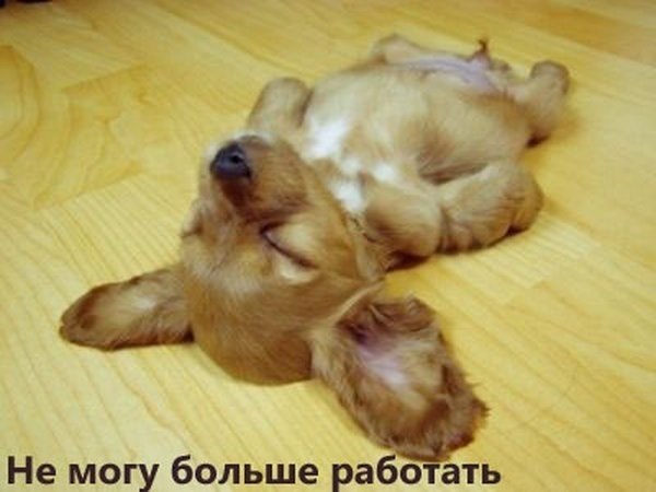 Юлия Чеснова | Москва