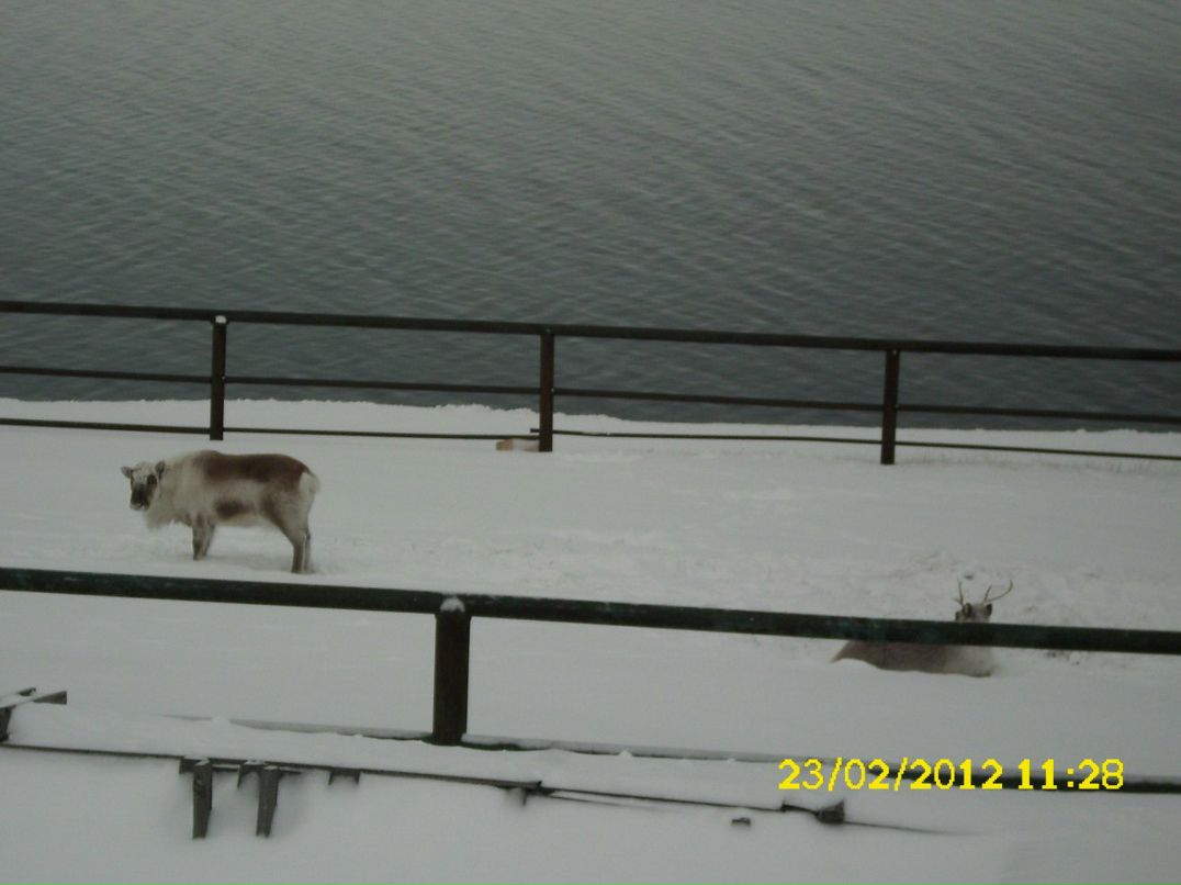Макс Шаповалов | Мариуполь