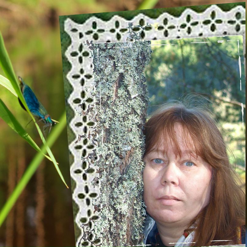 Светлана Царапина | Valka