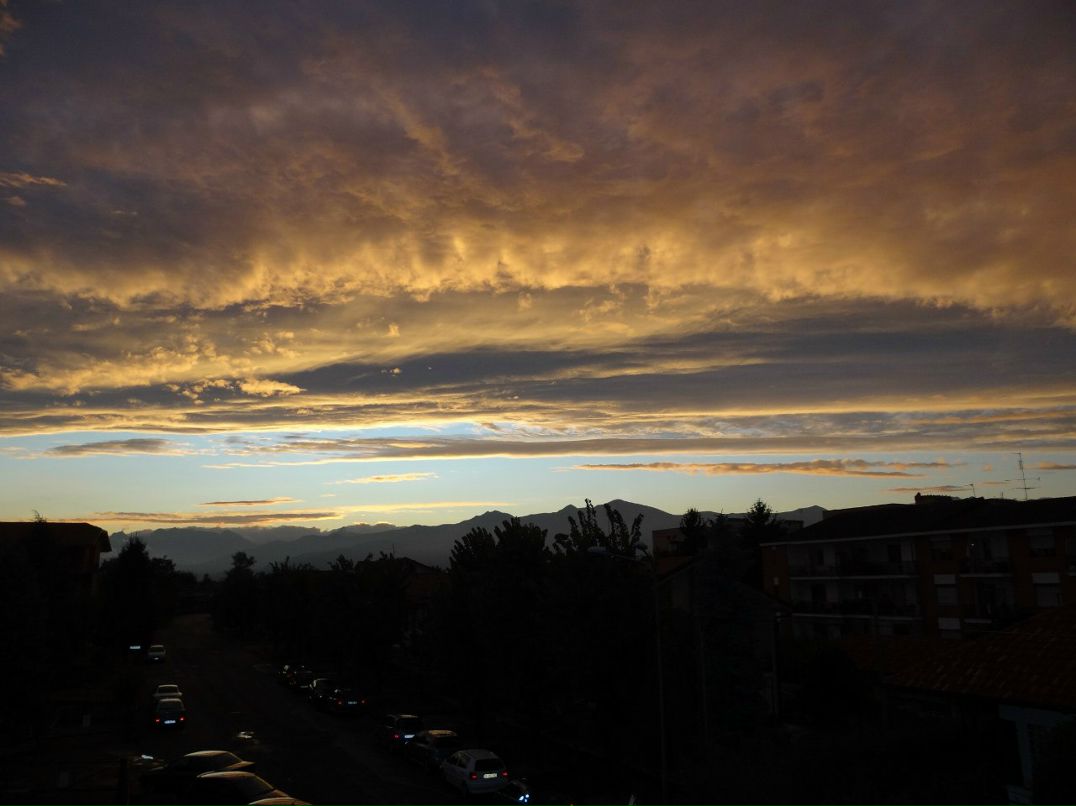 Светлана Трофимова | Санкт-Петербург