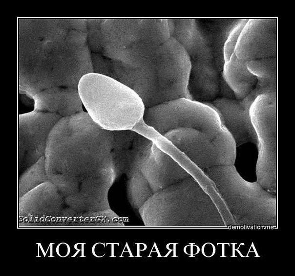 Денис Фищенко | Севастополь